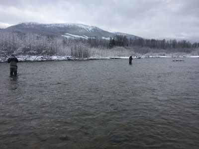 steelhead-fishing-report-2019