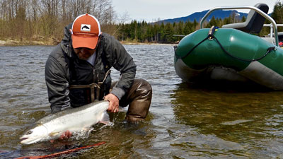 fly-fishing-spring-steelhead
