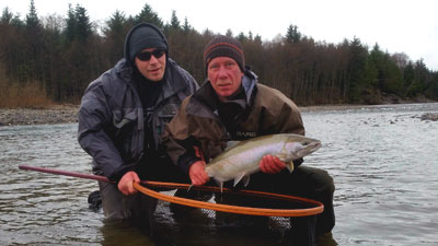 March River Steelhead Image
